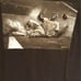 Ultra Rare SGA New Willie Mays Slide San Francisco Giants Tshirt Size XL Shirt