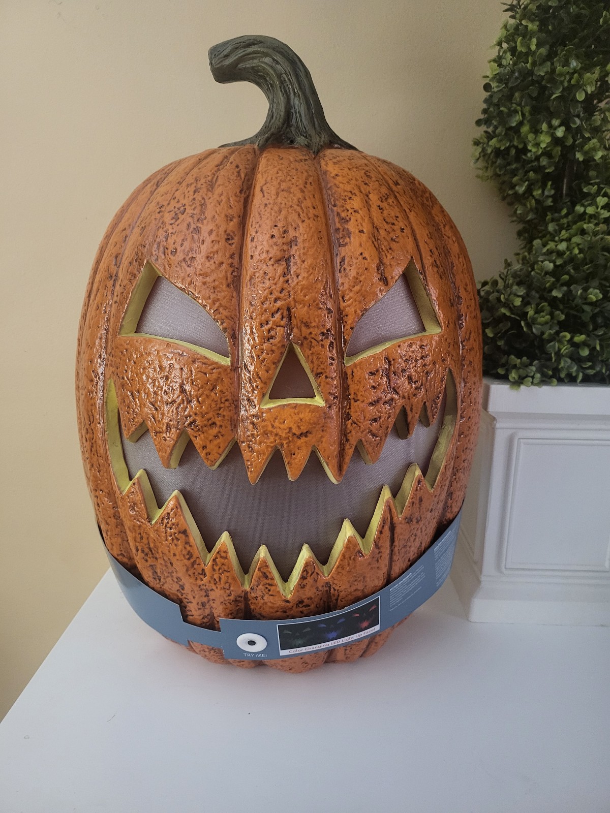Pumpkin