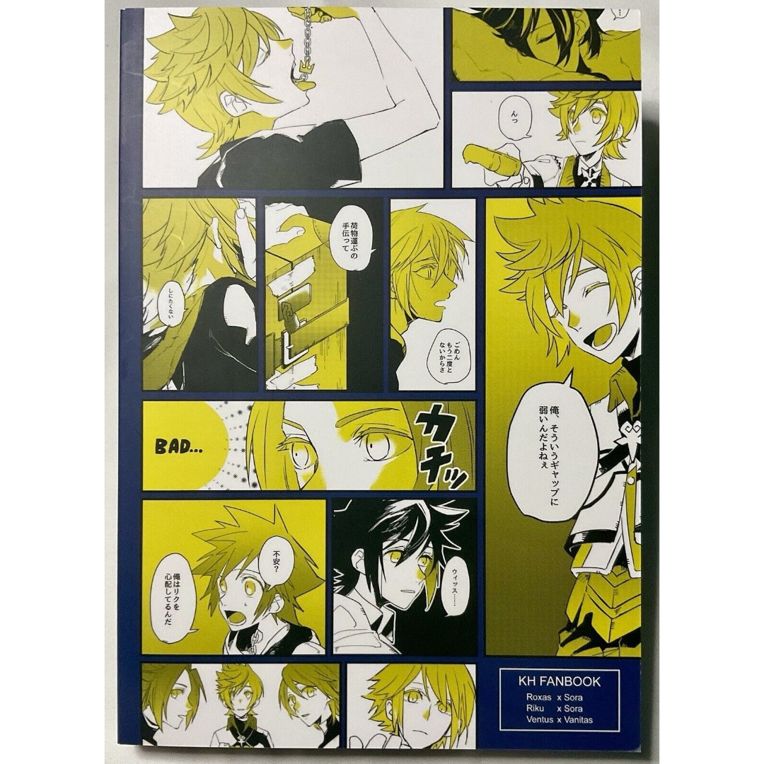 Kingdom Hearts KH Doujinshi Riku X Sora X Roxas Ven X Van #202F55 180p BL Yaoi