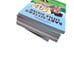 The Baby Sitters Club & Baby Sitters Little Sister Book Graphic Book Lot Of 5