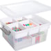 Plastic Storage Box with Removable Tray Craft Organizers and Storage