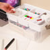 Plastic Storage Box with Removable Tray Craft Organizers and Storage