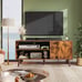 TV Stand for 55 Inch TVs, Entertainment Center with Storage Cabinet