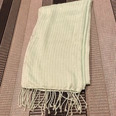 Stunning Mint green sequined stole or wrap. Price just reduced!
