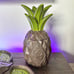 Disney Polynesian Pineapple Serving Set 50th Anniversary