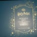 Pottery Barn Harry Potter Winged Keys light string NIB