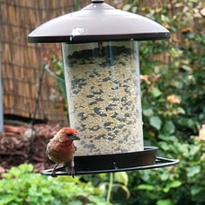 Bird Feeders for Outdoors, Metal Bird Feeder Holds 3LB Seeds, Wild Bird Feeder E