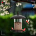 Bird Feeders for Outdoors, Metal Bird Feeder Holds 3LB Seeds, Wild Bird Feeder E