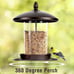 Bird Feeders for Outdoors, Metal Bird Feeder Holds 3LB Seeds, Wild Bird Feeder E