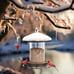 Bird Feeders for Outdoors, Metal Bird Feeder Holds 3LB Seeds, Wild Bird Feeder E