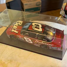 Dale Earnhardt Jr Autographed