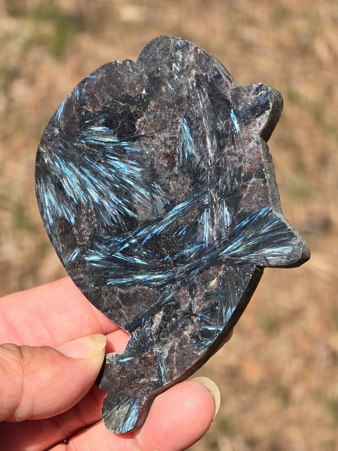 Unique & ADORABLE!♡ Garnet In Arfvedsonite Crystal Flounder Carving/Slab