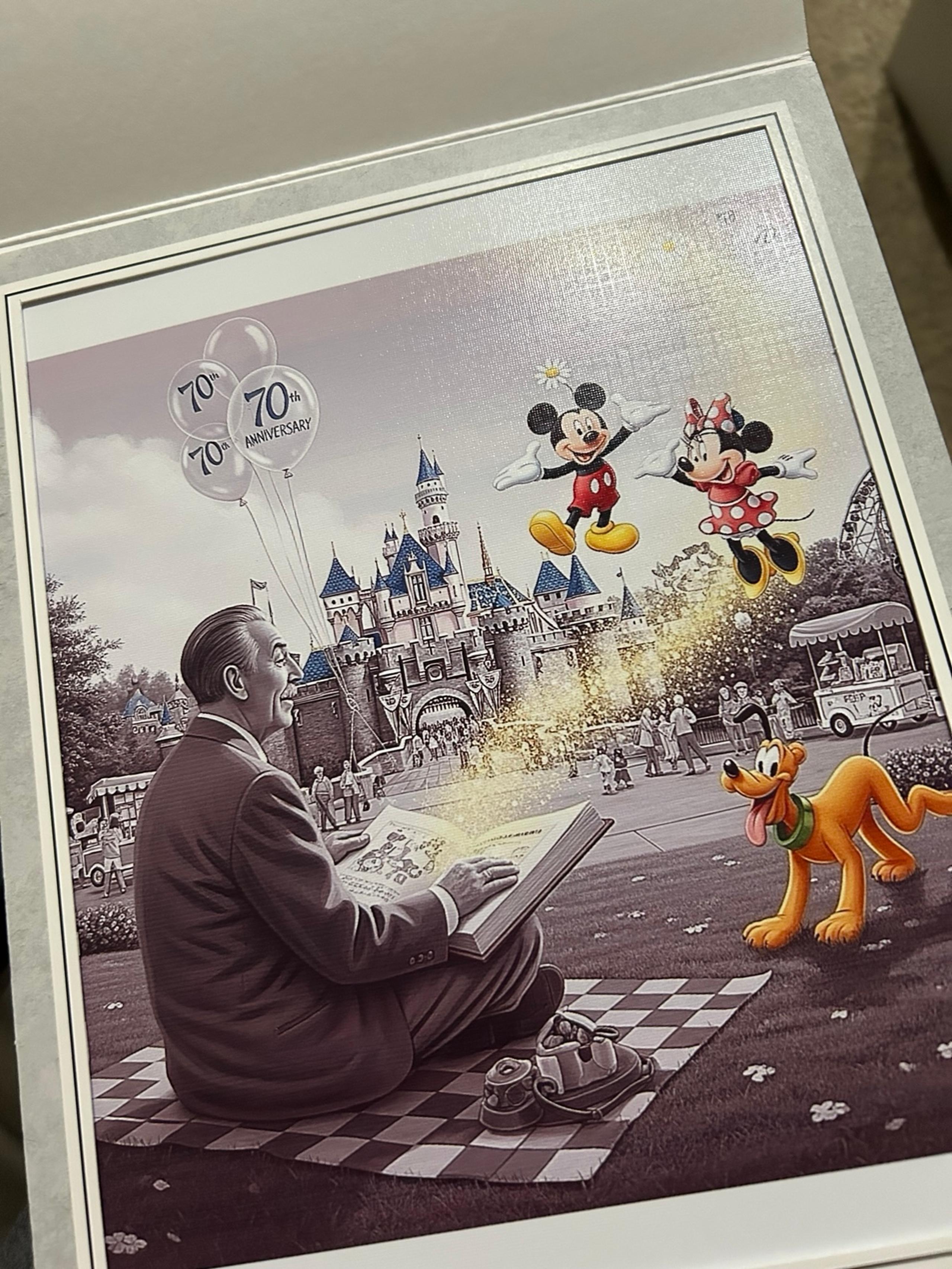 One-of-a-Kind Textured Canvas – Disneyland 70th Anniversary Tribute