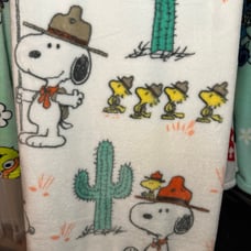 Snoopy blanket
