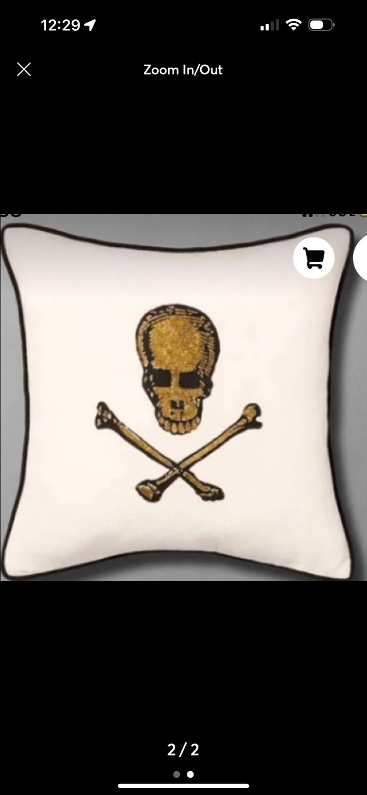 Skull accent pillow- John Derian