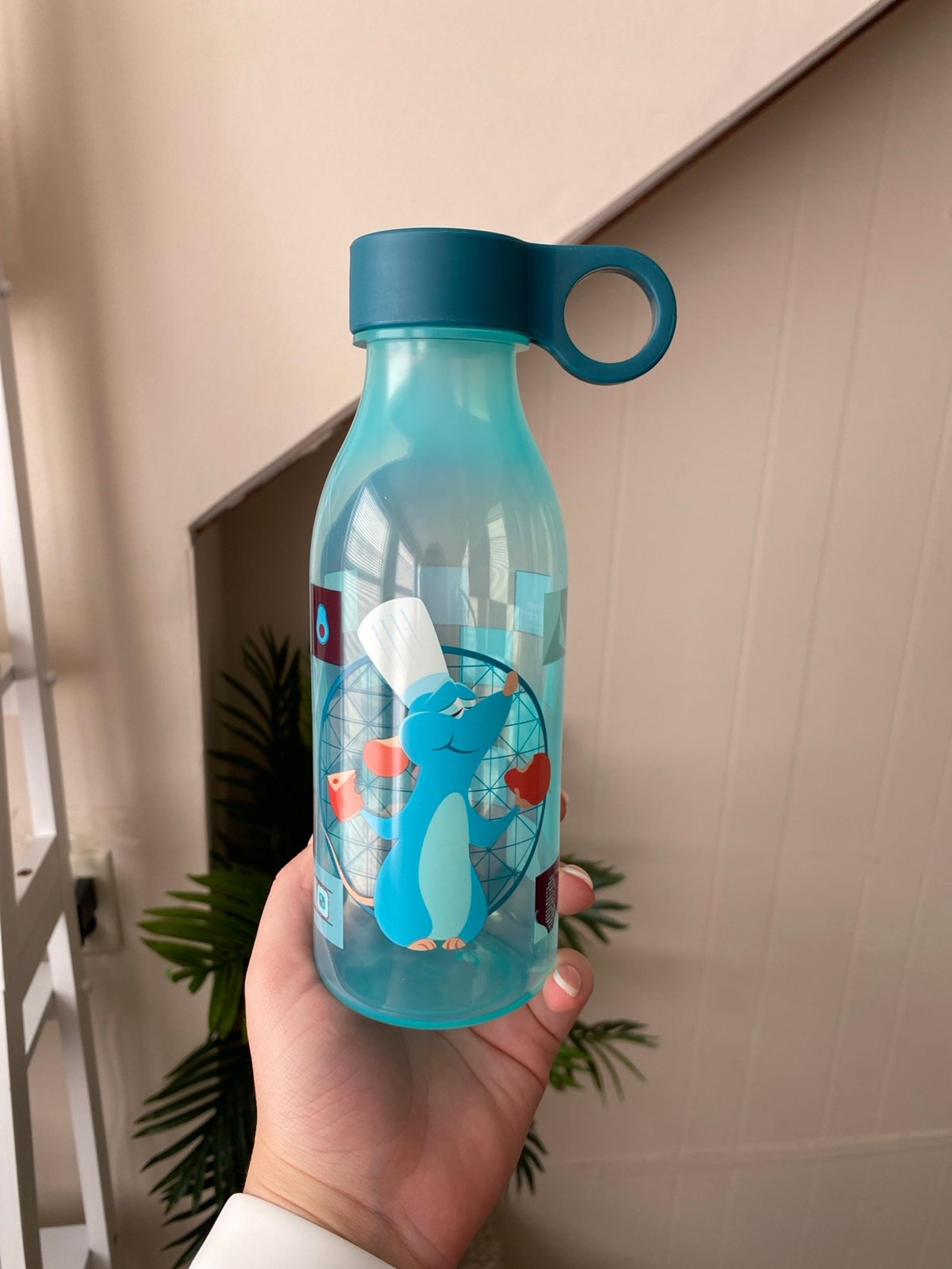 Remy Water Bottel - Disney