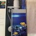 TUYA - WiFi Control Automatic Intelligent Visual Fish Feeder with 2K HD Camera