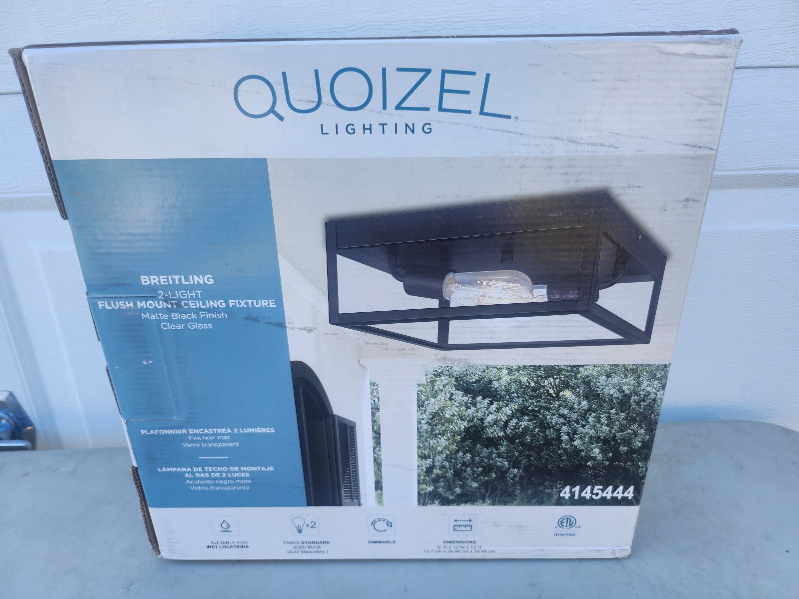 Quoizel Breitling Flush Mount Light Fixture