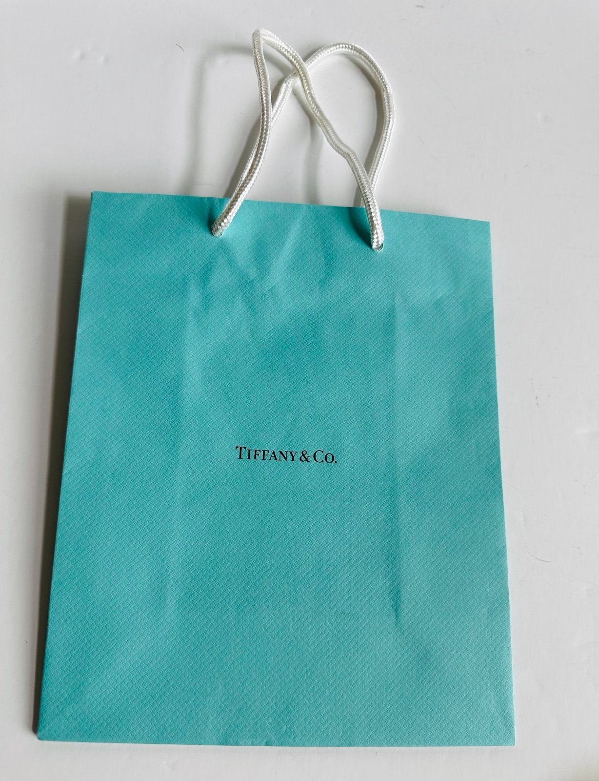 Tiffany & Co. Turquoise Blue Paper Shopping Bag Gift Bag Brand New
