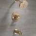Delta Faucet Nicoli 14 Series Single-Handle Tub and Shower Trim Kit, Shower Fauc