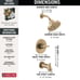 Delta Faucet Nicoli 14 Series Single-Handle Tub and Shower Trim Kit, Shower Fauc