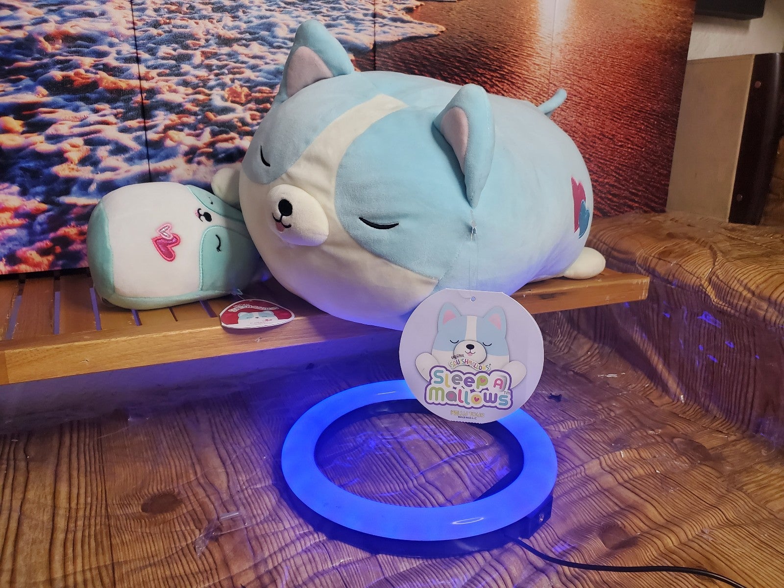 sleep a Mallows Colleen 14in 2021 Canadian exclusive +⭐️COMP ⭐️5in Colleen 2022