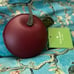 coin purse