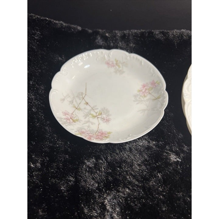 ANTIQUE 3 PC SET HAVILAND CHINA 2 PLATES 1 SAUCER BEAUTIFUL PATTERN (981)