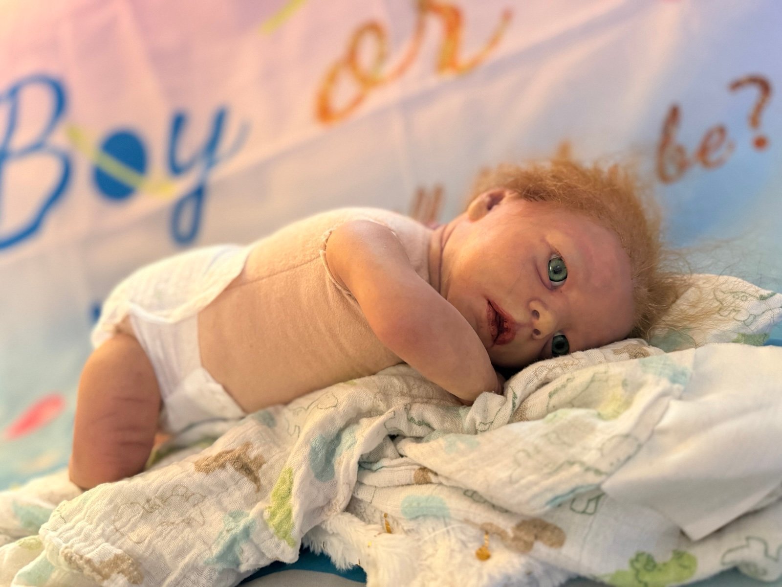 BIRACIAL REBORN BABY DOLL COA AUTHENTIC REALBORN DARREN AWAKE