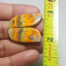 BumbleBee Jasper Natural Gemstone Cab