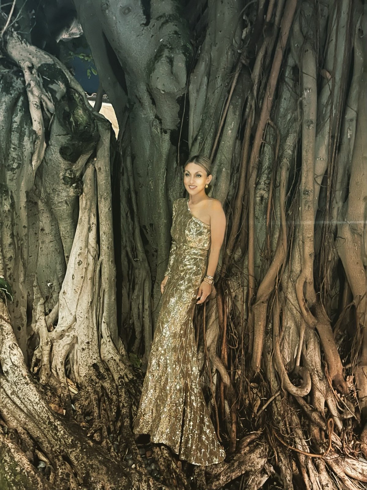 Designer Gown originally $800