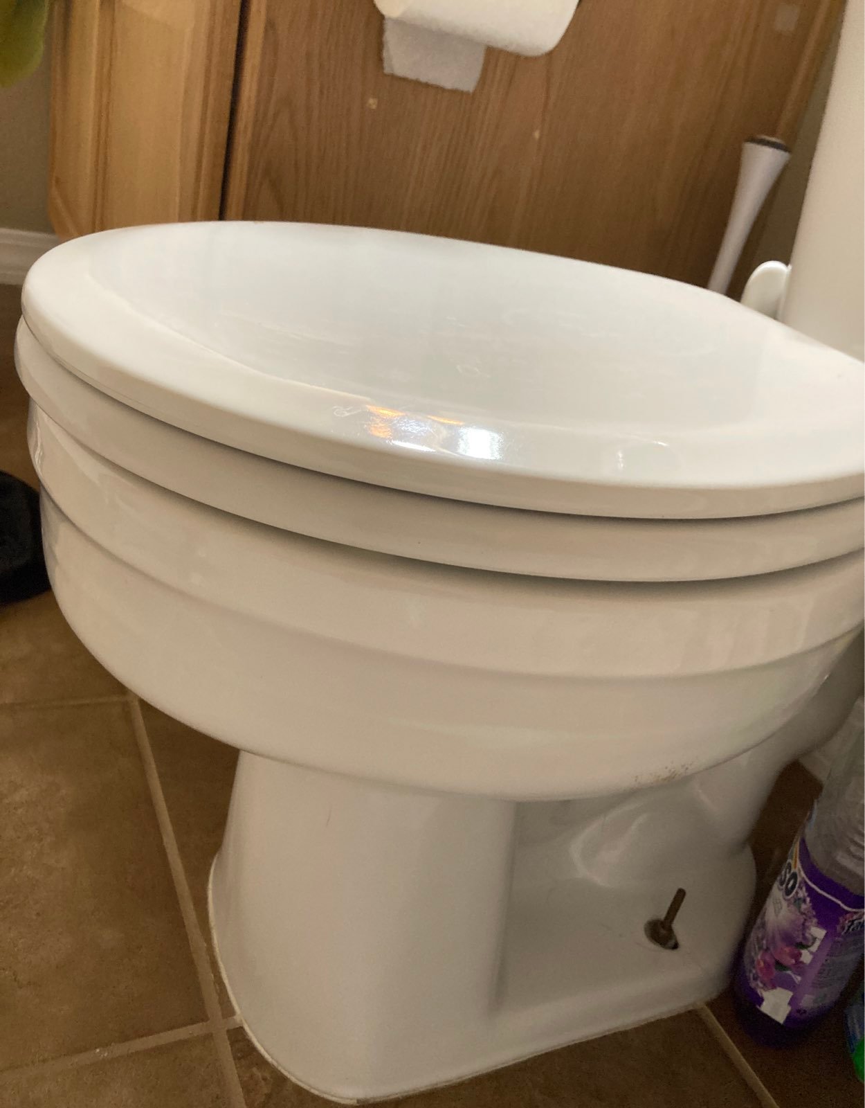 toilet