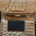 Brahmin