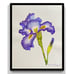 Iris Flower watercolor painting