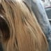 Straight bob wig
