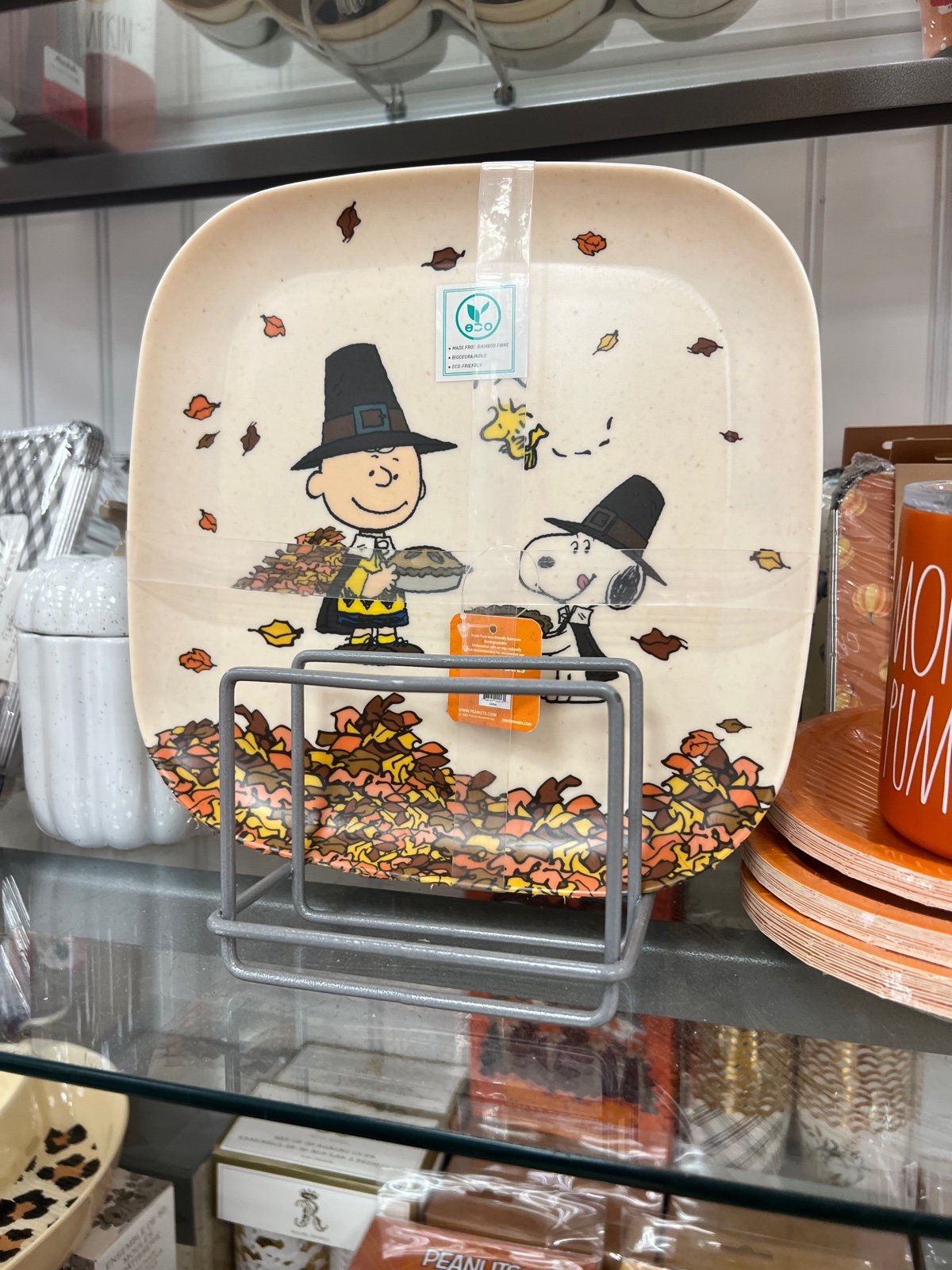 Peanuts Snoopy Woodstock & Charlie Brown Fall Thanksgiving Bamboo Dinner Plates