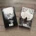 Shepard King One Dark Window Two Twisted Crowns Barnes & Noble SE Rachel Gillig