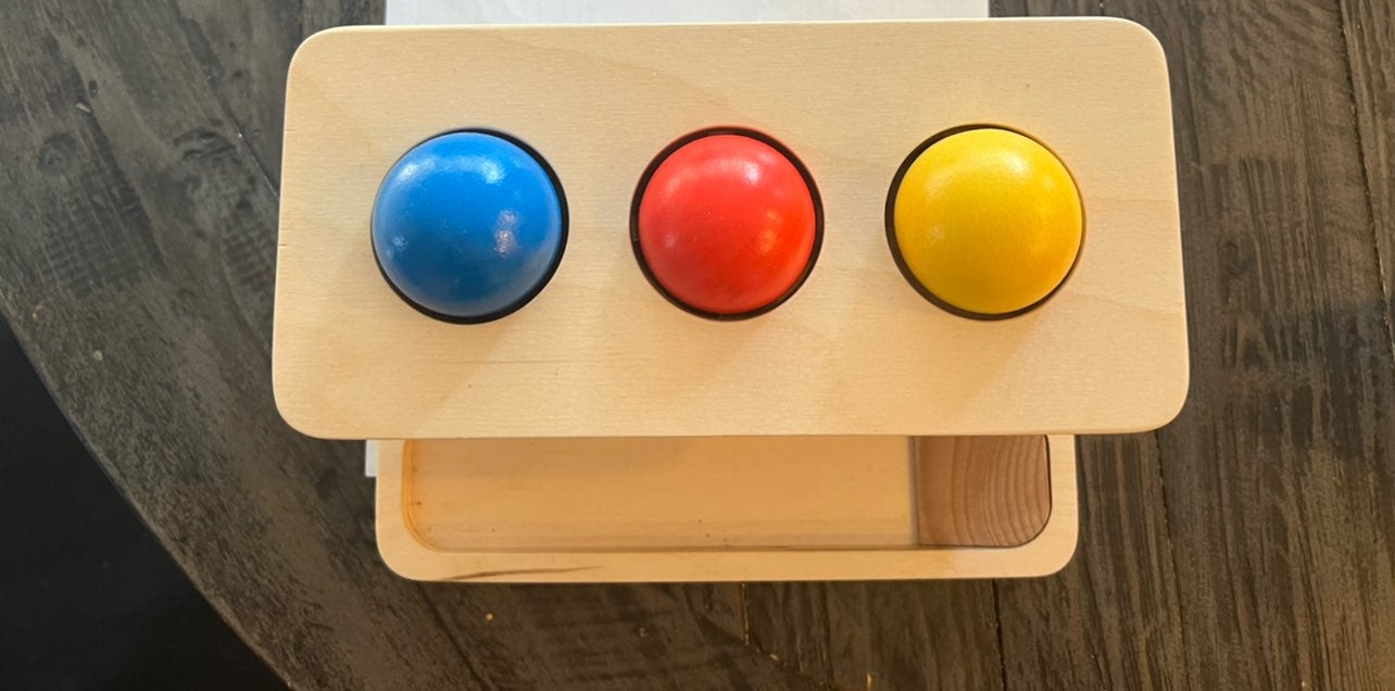 MontiKids Push Ball Set