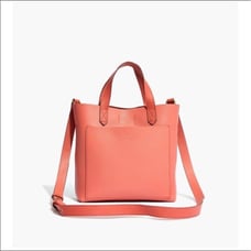 Madewell Spiced Rose Small Transport Crossbody