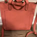 Madewell Spiced Rose Small Transport Crossbody