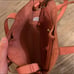 Madewell Spiced Rose Small Transport Crossbody