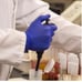 AMMEX Indigo Nitrile Exam Gloves, Textured, Disposable