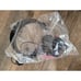 Trexonic 14 Portable LED TV Red NEW Television