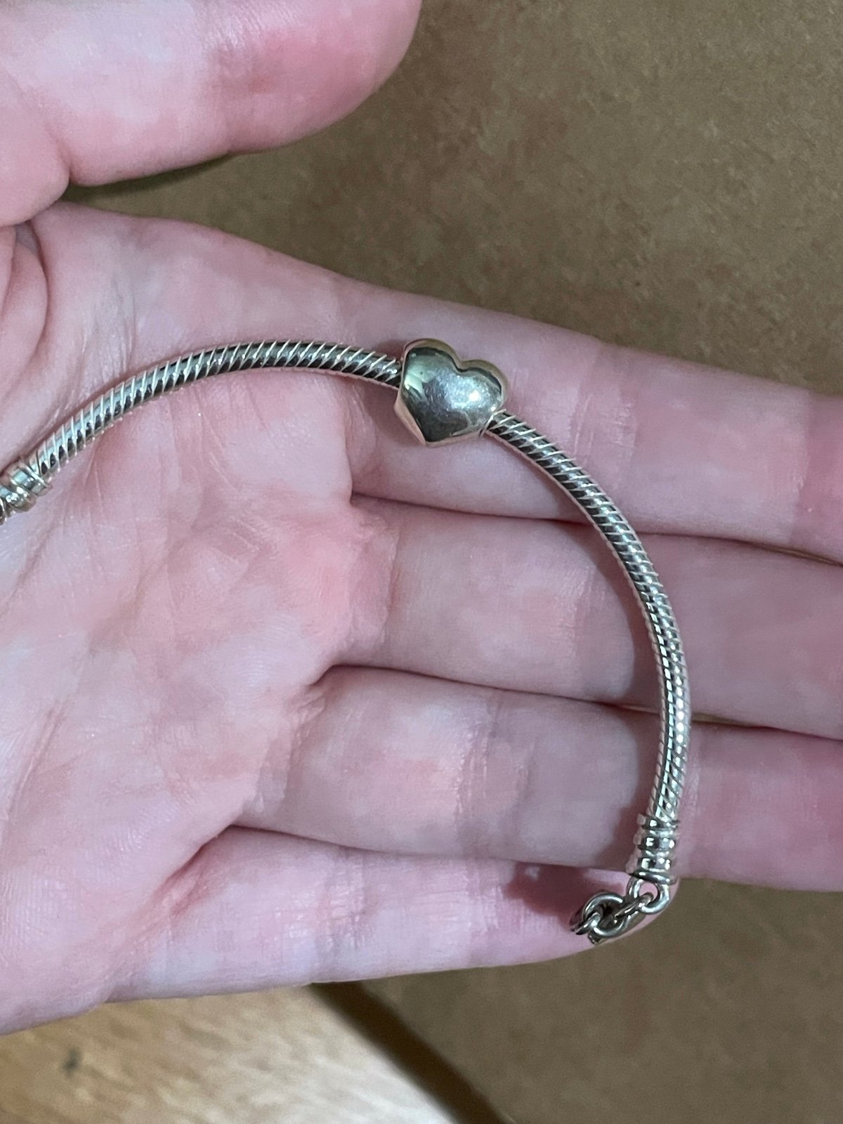 Pandora Bracelet
