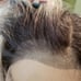 Ombre lace wig 24 inches freepart
