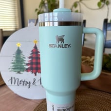 Stanley 40oz Mint Tumbler