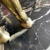 Heavy solid brass elephant statue upturned trunk 10 pounds
