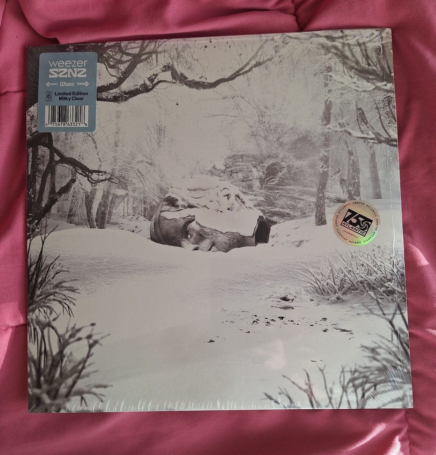 WEEZER- WINTER VINYL ( LIMITED EDITION)