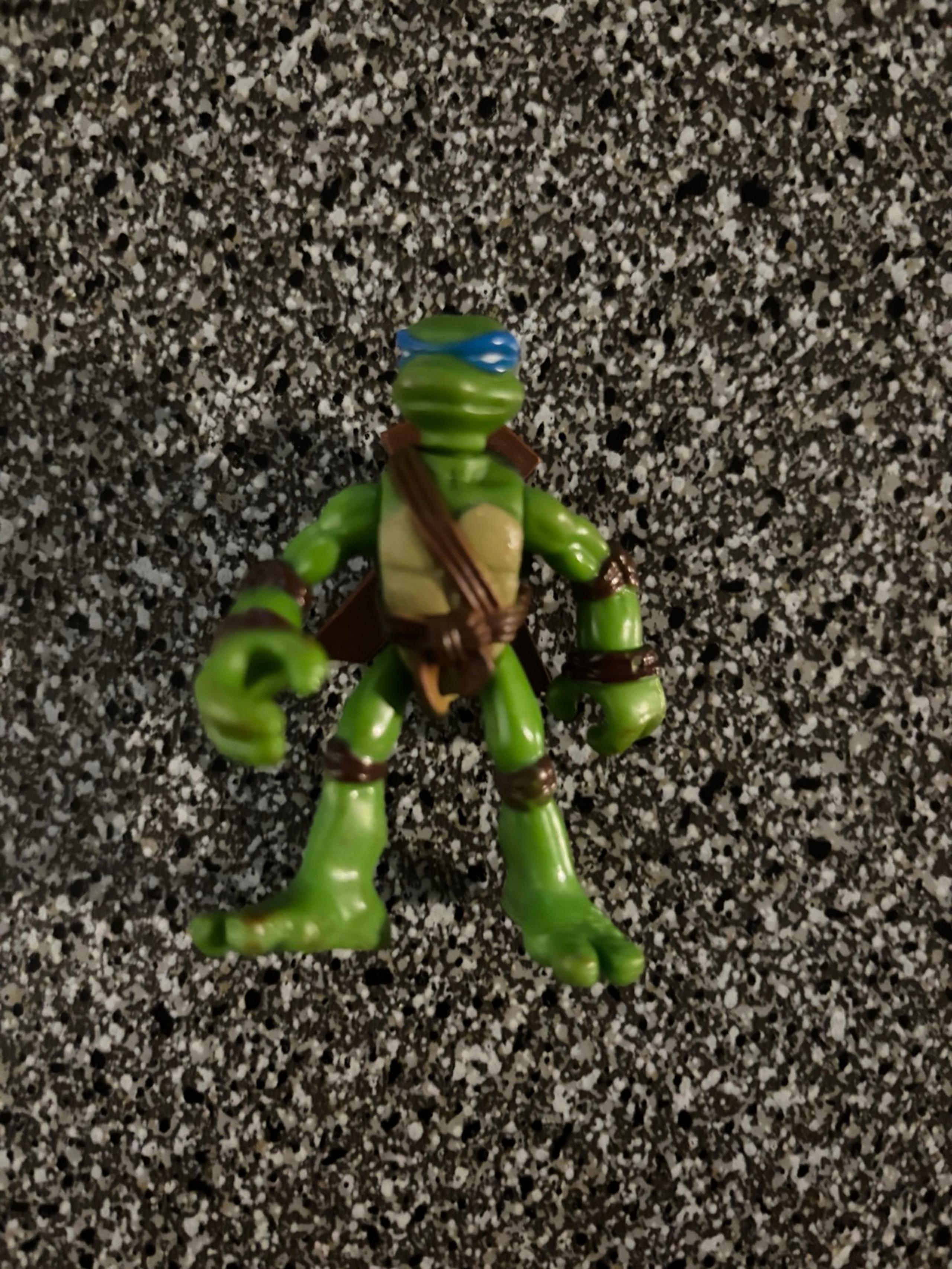 Leonardo, the leader of the Teenage Mutant Ninja Turtles