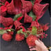 Amazing Large Lot Of Christmas Red Glitter Bell Ornaments & More Lot
